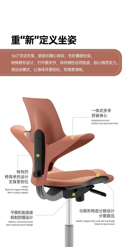 Back support Computer Office ergonomics Learning Dentist Saddle chair