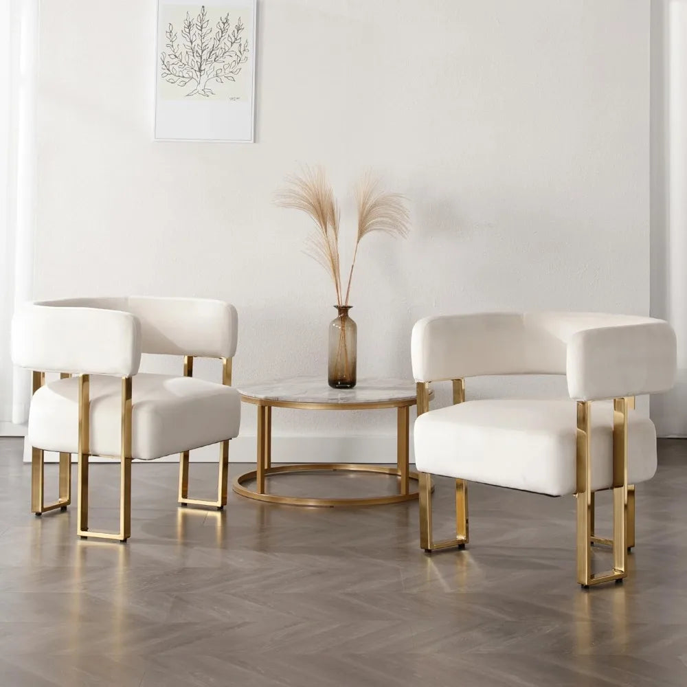 Chairs Set of 2 Living Room Side Chairs with Golden Metal Legs Soft Velvet Upholstered Reading Armchairs for Bedroom/ Ivory