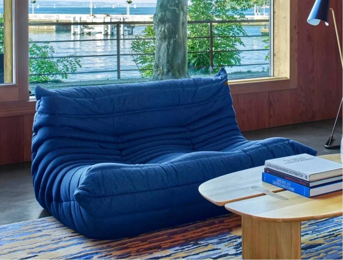 Two sofas, wife's favorite, daughter's favorite, the best seat for taking a shower, caterpillar sofa, luxury item Luxury has con