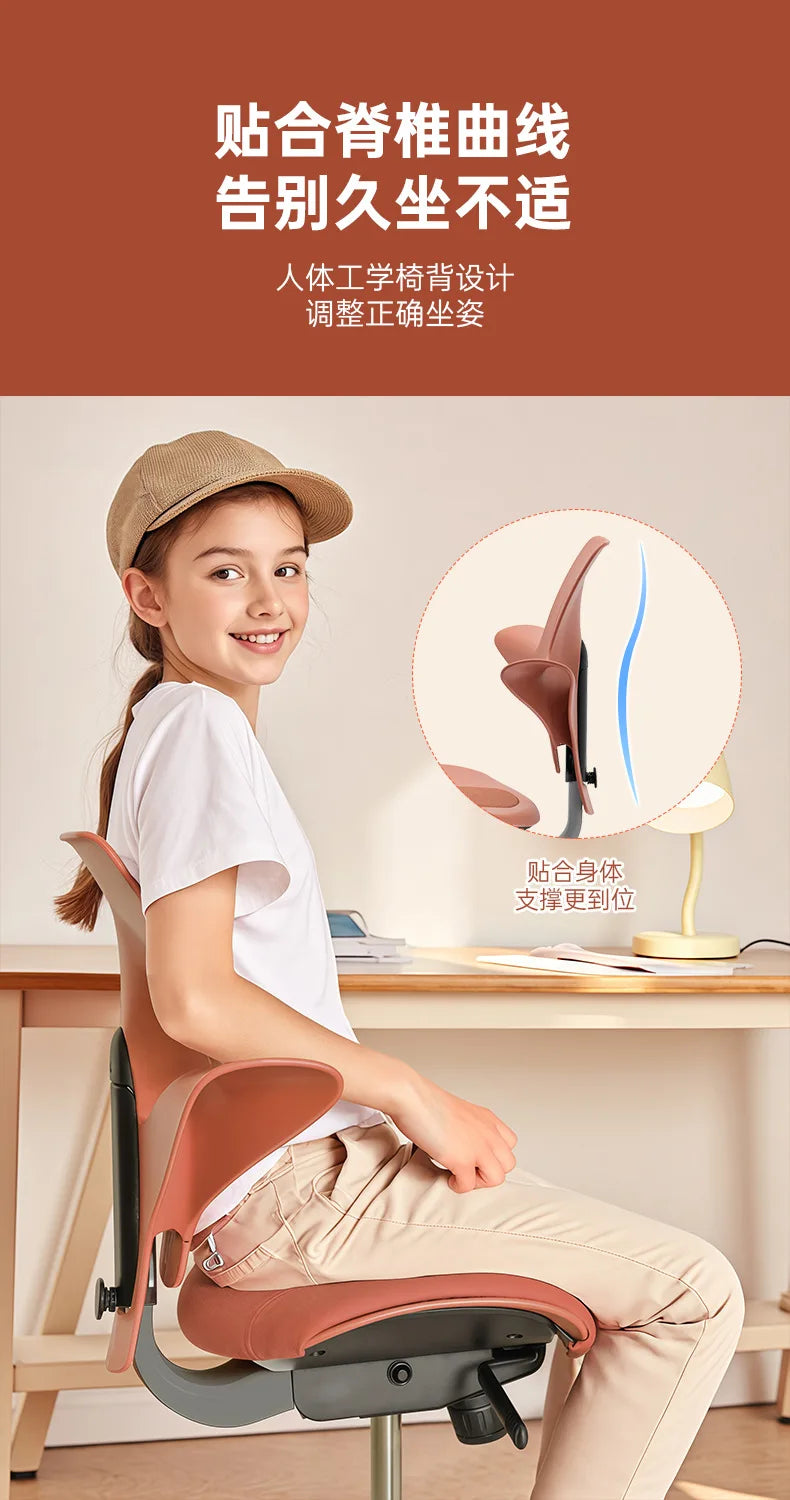 Back support Computer Office ergonomics Learning Dentist Saddle chair