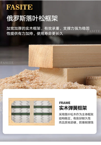 Lounge Living Room Sofas Fabric Minimalist Modern Design Sofa Elegant Comfortable Kanapy