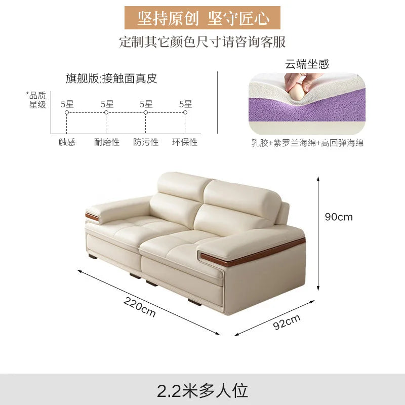Leather sofa modern simple living room size apartment concubine solid wood combination imported first-layer cowhide sofa