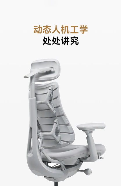 Ergonomic Chair Computer Relaxation Dynamic Ergonomic Chair